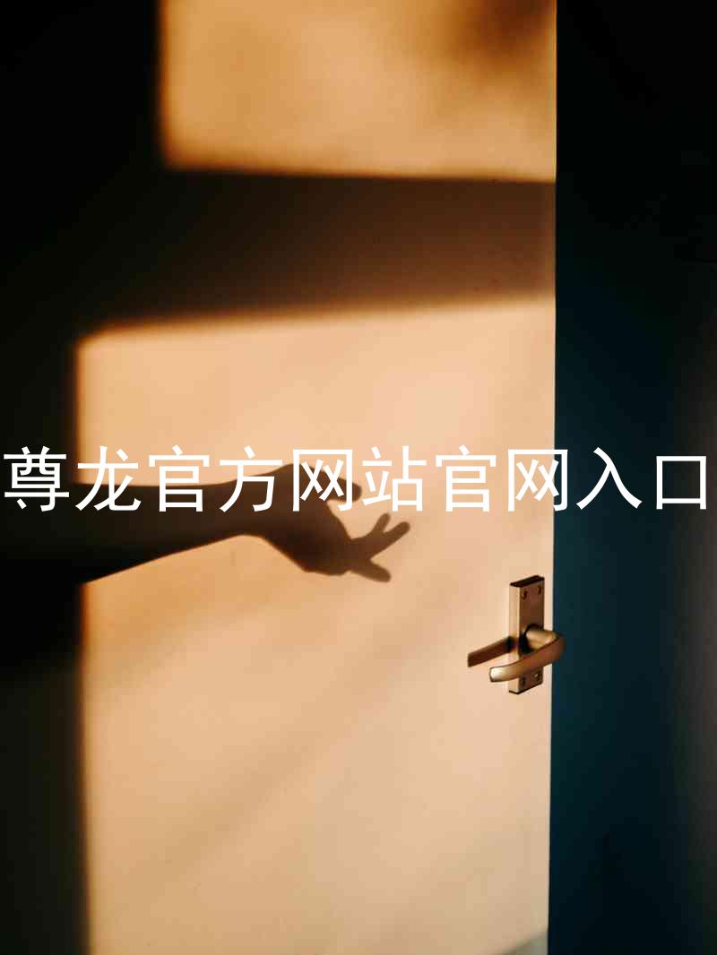 尊龙官方网站官网入口