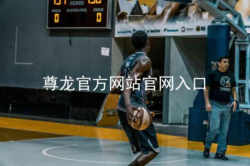 尊龙官方网站官网入口